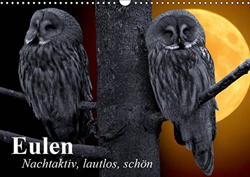 Eulen. Nachtaktiv, lautlos, schön (Wandkalender 2019 DIN A3 quer): Nachtaktive Schönheiten und lautlose Jäger (Monatskalender, 14 Seiten ) (CALVENDO Tiere)