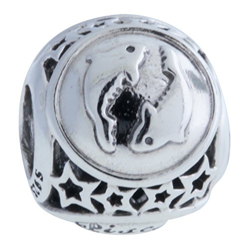Pandora Charm trinket 791.935 Fische Zeichen mit Sternen