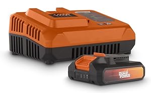 PowerPlus POWDP9062 POWDP9062 - Cargador (20 V/40 V, batería de 20 V, 2000 mAh)