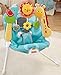 Fisher-Price 2-in-1 Sensory Stages Bouncer