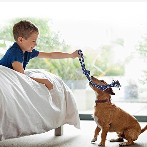 Lobeve-Dog-Chew-Toys-5-Pack-Gift-Set-Durable-puppy-Rope-Toy-Small-Set