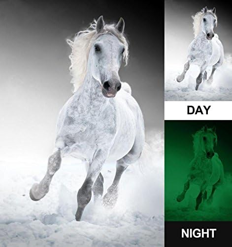 Photonic Wallart, Glow in the Dark, canvas wall art, White horse in the snow, mural, category Animals, (60 cm x 90 cm) 23.62 x 35.43 inch