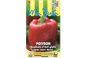 Sachet de graines de Poivron Quadrato d'asti Giallo (poivron gros carré doux) - 3 g - légume fruit - LES GRAINES BOCQUET