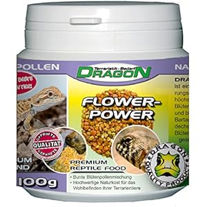 Dragon - FLOWER POWER FOOD - Blütenpollen ca. 100 g