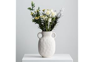 JXCBXJ Jarrón de cerámica para decoración, jarrones para Hierba de Pampa, jarrones Abstractos Modernos para decoración del hogar, para Mesa Moderna. (Anfora)