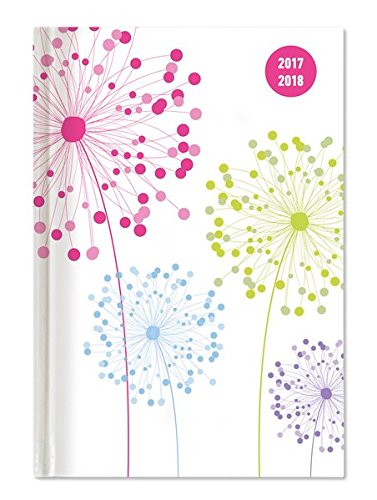 Preisvergleich Produktbild Collegetimer Blowballs 2017 / 2018 - Schülerkalender A5 - Day By Day - 352 Seiten