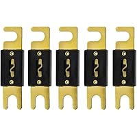 Mintice 5 x 100A ANL Sicherung Auto Automotive Audio Power Sicherheit schützen Glasrohr vergoldet Schutz
