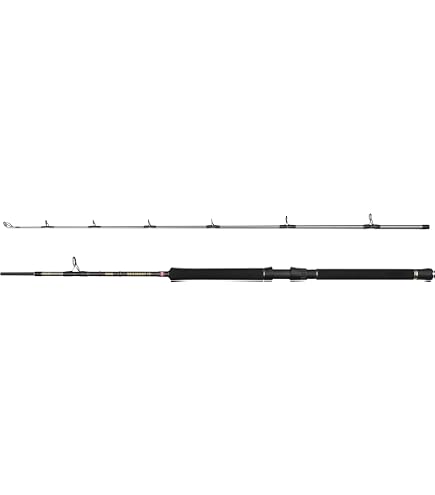 Penn Regiment IV Halibuster Rod, Saltwater Fishing Sea Fish Cod