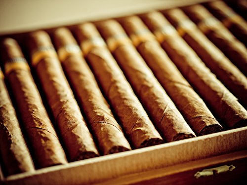 CASO Humidor Volado – hochwertiger Humidor mit Kompressortechnik, zur liegenden Lagerung von Zigarren, eine Temperaturzone von 15°C-22°C, Luftfeuchtigkeit von 50-85% regelbar - 4