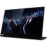 Lenovo ThinkVision M14t - Computer Monitor LED 14", 1920 x 1080 Full HD (1080p) @ 60 Hz, Touch Screen, Black