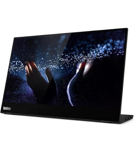 ThinkVision M15 15