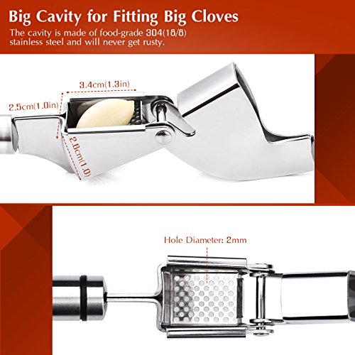 Topop Professionelle Knoblauchpresse und Schäler Set, Edelstahl Knoblauchschneider Garlic press , Mince & Crush Knoblauchzehen leicht zu zerdrücken, Food-grade Edelstahl Hohlraum Spülmaschinenfest - 2