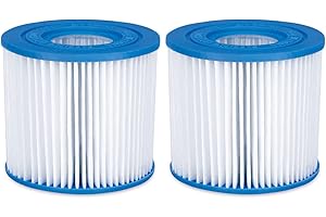 Summer Waves Cartucho de filtro de repuesto tipo D (2-Pack)