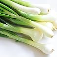Welldales 50 Mini Welsh Onion Seeds Green Bunching Perennial Bulb Spring Onion Vegetables