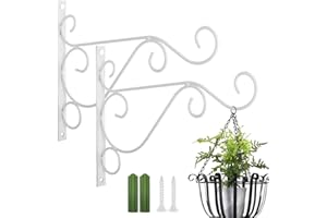Taasmoog 2 Pack White Iron Plant Hangers - Heavy Duty Wall Hooks for Hanging Plants, Baskets, and Decor, Indoor/Outdoor Use