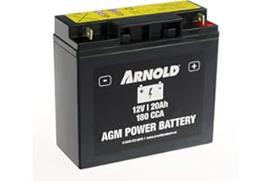 ARNOLD AGM - Batteria di avviamento AZ110, 12 V, 20 Ah, 180 CCA per trattori tosaerba 5032-U3-0010, + polo destro