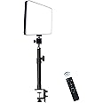 DNSbabi LED Desk Bi-Color Key Light with C-clamp, 2700K-5700K Dimmable with Wireless Remote for Studio Photography Lighting/Zoom Conference/Video Recording/YouTube Tiktok Live/Game Streaming