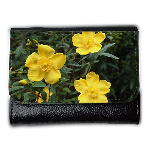 Preisvergleich Produktbild Portemonnaie Geldbörse Brieftasche / / M00290742 Hypericum Johanniskraut Gelb / / Medium Size Wallet