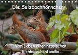 Die Sulzbachhörnchen - vom Leben einer hessischen Eichhörnchenfamilie (Tischkalender 2019 DIN A5 quer): Dieser Kalender zeigt die Eichhörnchen ... (Monatskalender, 14 Seiten ) (CALVENDO Tiere) by 