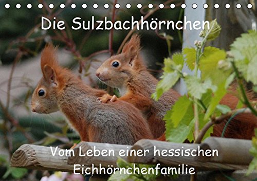 Die Sulzbachhörnchen - vom Leben einer hessischen Eichhörnchenfamilie (Tischkalender 2019 DIN A5 quer): Dieser Kalender zeigt die Eichhörnchen ... (Monatskalender, 14 Seiten ) (CALVENDO Tiere)