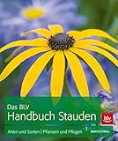 Image de Das BLV Handbuch Stauden: Arten und Sorten | Pflanzen und Pflegen