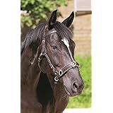 Kopfstück Contour Physio (ohne Cavesson / Nasenteil) ist separat bestellbar