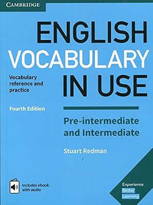Cambridge English Vocabulary in Use Pre-intermediate and Intermediate Book with Answers and Enhanced eBook: Vocabulary Reference and Practice