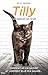 tilly un amour de chat