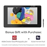 Wacom Cintiq Pro 24 Multi-Touch 4K Display/23.6 Inch Pen Display with Integrated Stand Including Wacom Pro Pen 2 Stylus with Pen Holder and Replacement Tips/Compatible with Windows and Mac