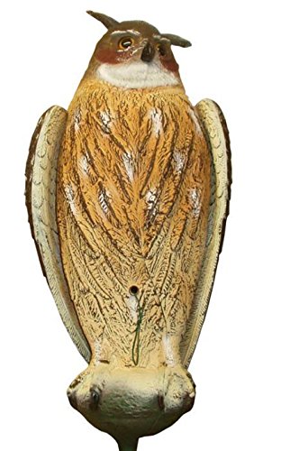 Preisvergleich Produktbild Lockvogel HÜTTEN-UHU