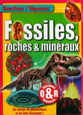 Fossiles, roches & minéraux : Un monde de phénomènes et de faits fascinants !