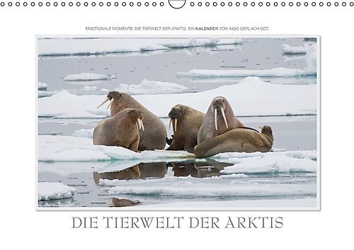 Emotionale Momente: Die Tierwelt der Arktis / CH-Version (Wandkalender 2017 DIN A3 quer): Traumhafte Bilder der Tierwelt in Europas Arktis. (Monatskalender, 14 Seiten ) (CALVENDO Tiere)