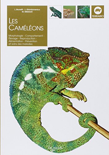 Les caméléons gratuit