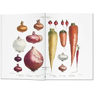 Sc-Vilmorin, Vegetable - Italien, Espagnol, Portugais