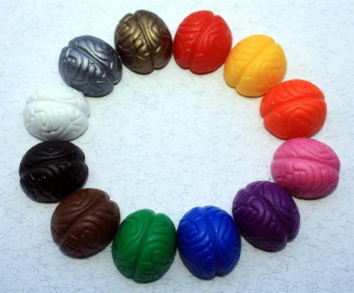 CRAZY BRAIN – Magnete / Magnet : Ideen finden mit Neodym-Magnet-Gehirn, für Tafel oder Kühlschrank! - 4