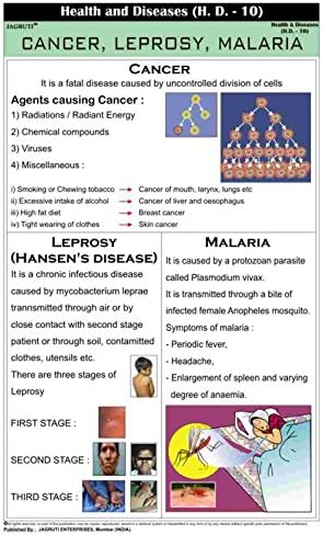 Jagruti Health And Diseases Cancer,Leprosy,Malaria Wall Education Charts