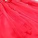 iiniim Little Girls Toddlers Flower Princess Tutu Dress with Petals Headband Party Pageant Clothing 6-12 Months