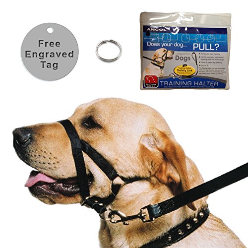 Ancol-Dog-Training-Halter-Black-with-FREE-personalised-engraved-tag-Small
