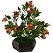 Thefancymart Artificial Bonzai fruit tree pomegranite(size 10 inchs/ 25 cms) with Wood Hexagun pot-0225-881 RS.395.00