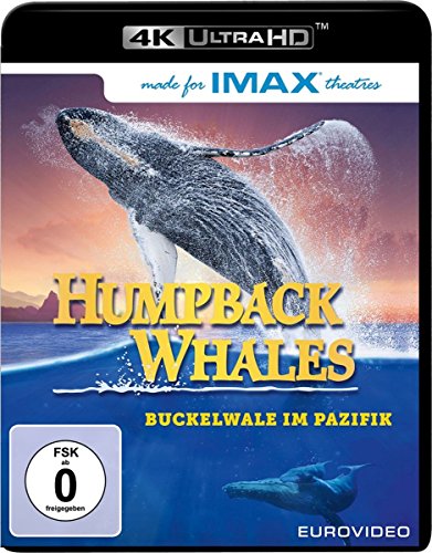 Preisvergleich Produktbild Humpback Whales (4K Ultra HD) [Blu-ray]