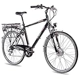 AKKU PHYLION LI-ION mit DIEBSTAHLSCHUTZ - kann am E-Fahrrad oder extern geladen werden. Er bietet mit 13,4 Ah Hochleistung, was Reichweiten bis zu 100km ermöglicht