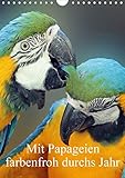 Mit Papageien farbenfroh durchs Jahr (Wandkalender 2020 DIN A4 hoch) by 