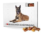 Hunde-Adventskalender mit Leckerlis - Motiv I Love...