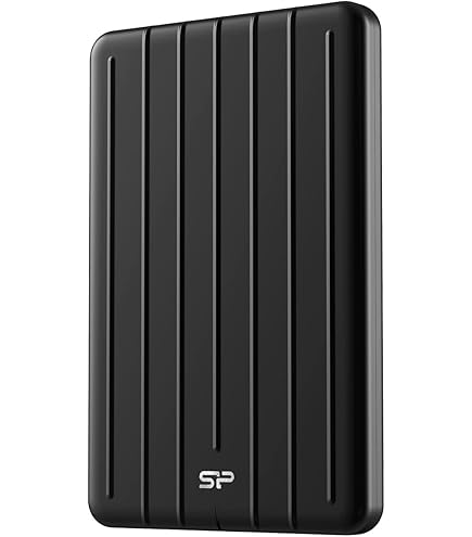 SP Silicon Power Silicon Power 480GB Portable SSD, Compact Pocket