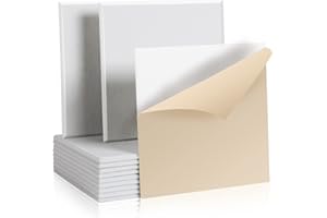 Rdutuok 12 Paquetes de Paneles Acústicos Autoadhesivos, 30 x 30 x 1cm Paneles de Espuma Insonorizados, Pared para Estudio de Grabación, Oficina, Estudio Decoración de Pared (Blanco)