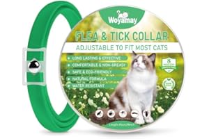 Woyamay Collier Chat Anti Puces et Tiques, Collier Anti Puces pour Chat Réglable, Naturel Protection Efficace 8 Mois, Résistant à l'eau Collier Anti Tique Chat pour Chatons Moyens et Grands, Vert