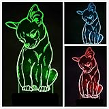 3D Chihuahua Chien Lampe Illusion Optique LED Veilleuse Optiques Illusions Lampe de Nuit 7 Couleurs Tactile Lampe de Chevet Chambre Table Art Déco Enfant Lumière de Nuit avec Cable USB
