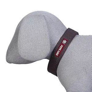 Pets Like Dog Polyester Collar Brown(20mm) (GE-PL5001I)