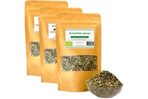 OKOIUM BRENNER ARTEMISIA ANNUA, Poudre