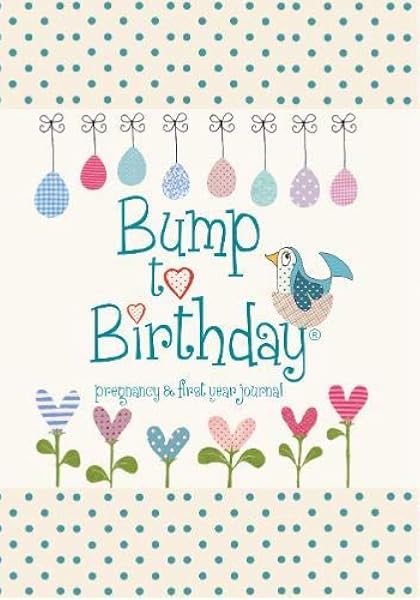 pregnancy and baby journal